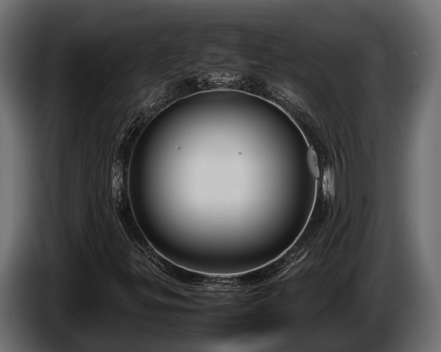 X0000085781299200703231236