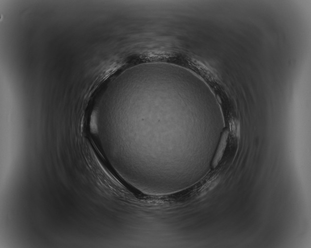 X0000085781300200703231236