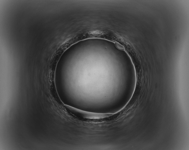 X0000085781301200703231236