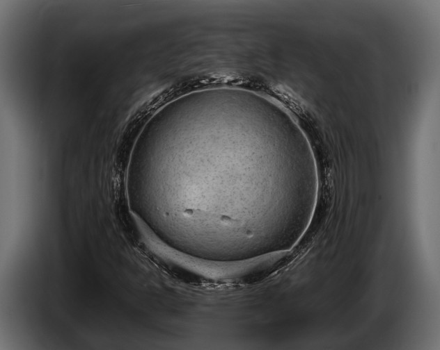 X0000085781302200703231236