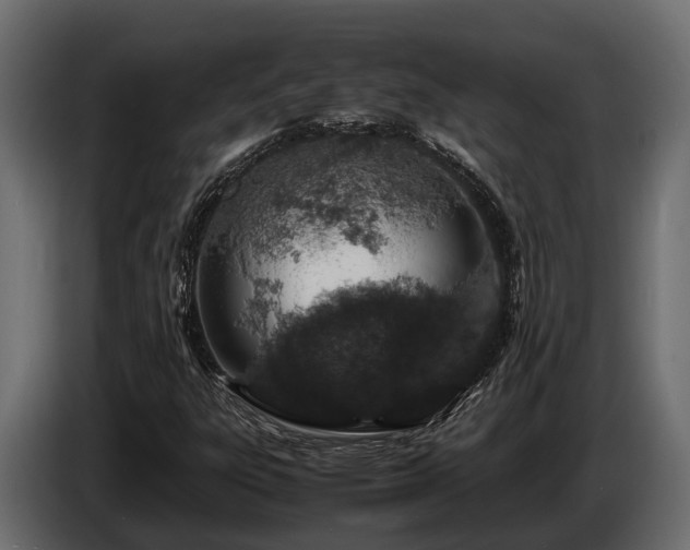 X0000085781303200703231236