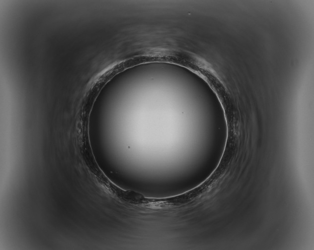 X0000085781304200703231236