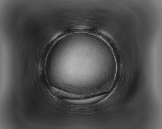 X0000085781305200703231236