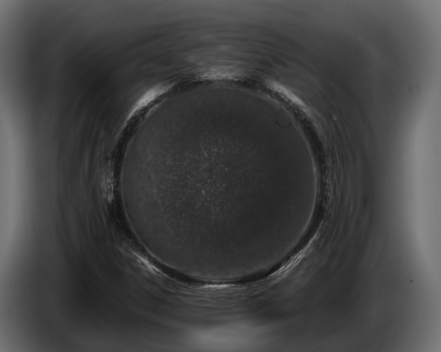 X0000085781306200703231236