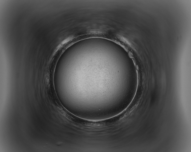 X0000085781307200703231236