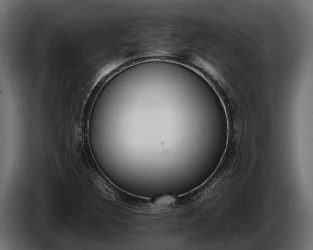 X0000085781308200703231236