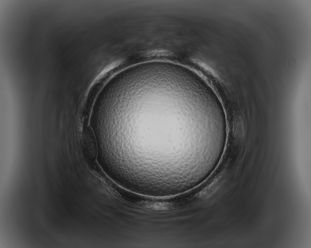 X0000085781309200703231236