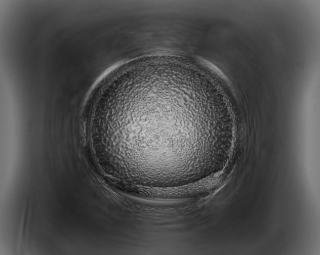 X0000085781310200703231236