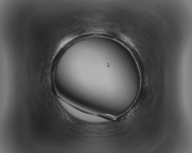 X0000085781312200703231237