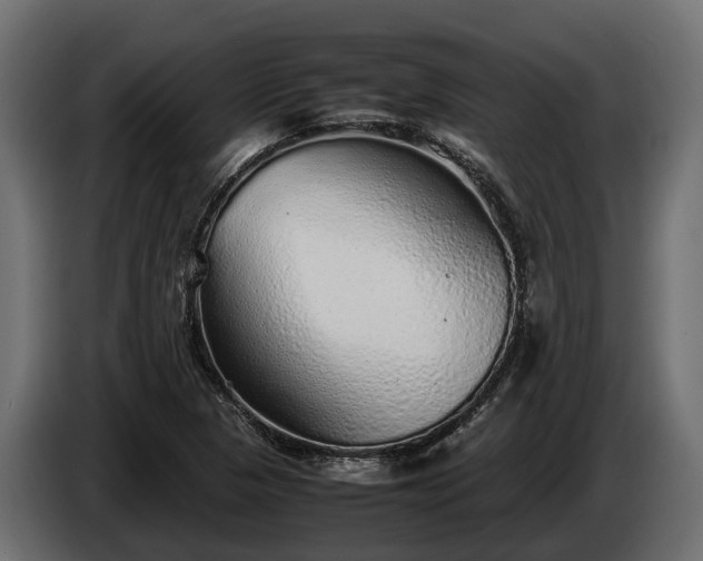 X0000085781313200703231237