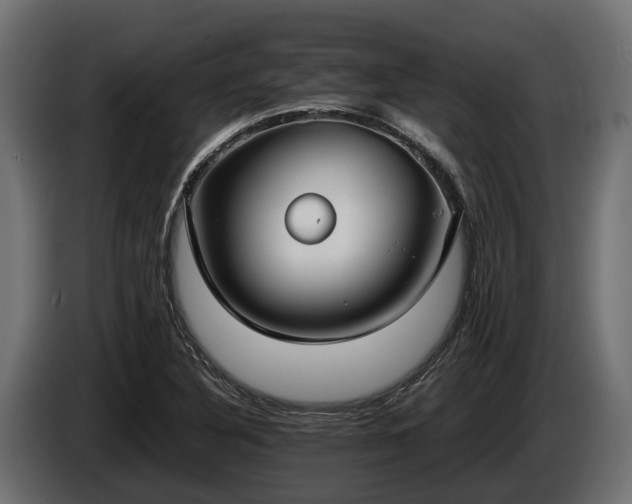 X0000085781316200703231237