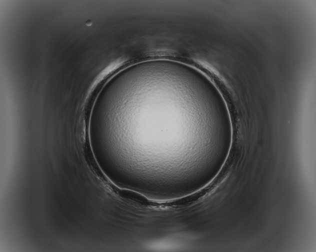 X0000085781317200703231237