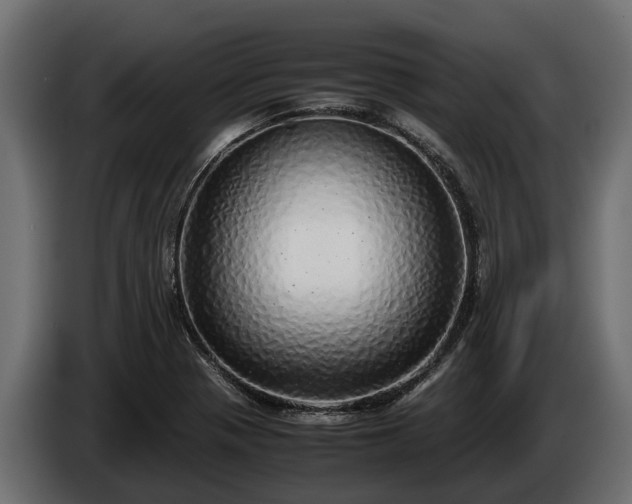 X0000085781321200703231237