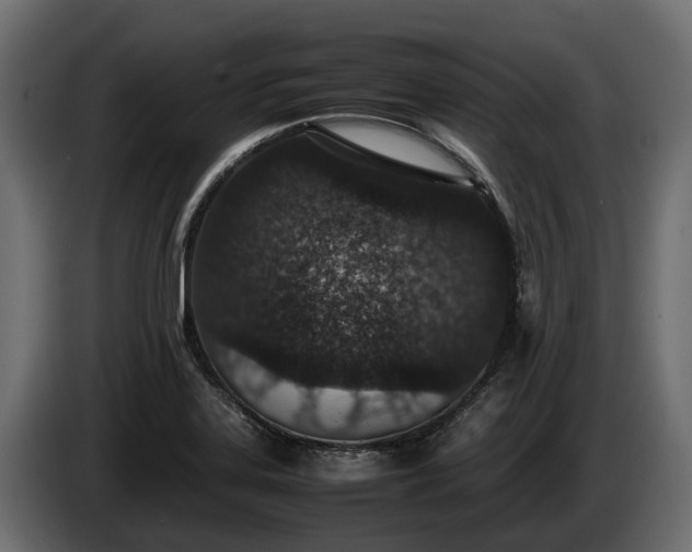 X0000085781323200703231237