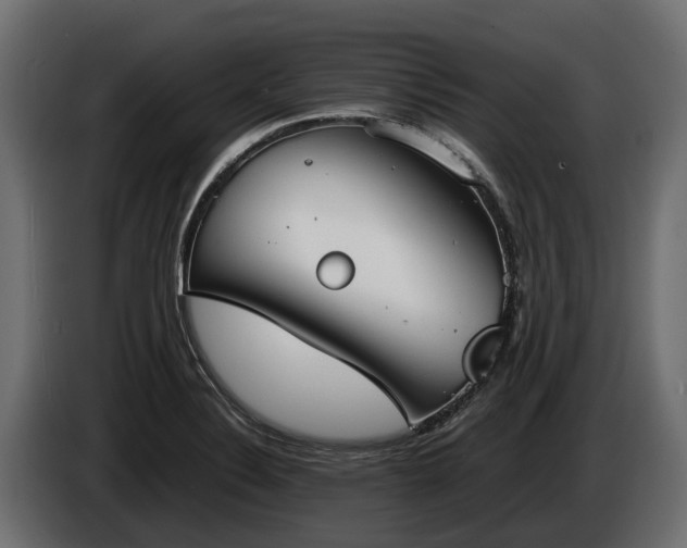 X0000085781324200703231237