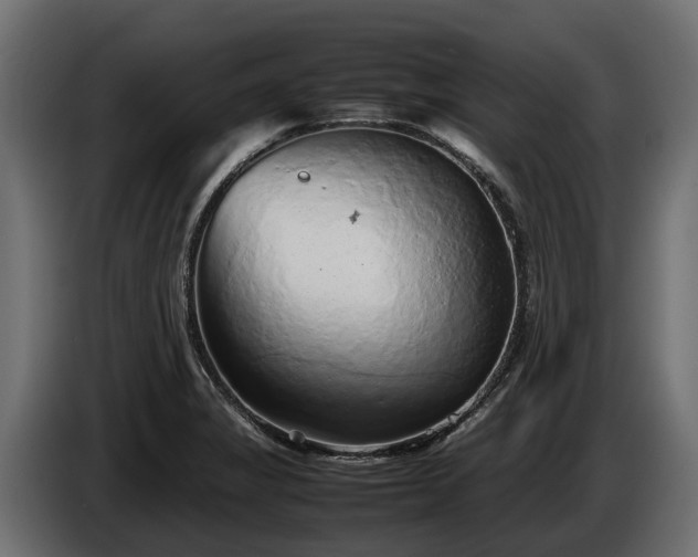 X0000085781325200703231237