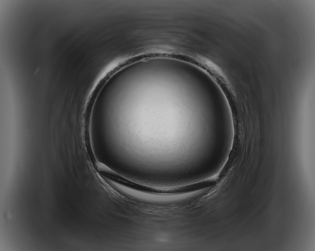 X0000085781326200703231237