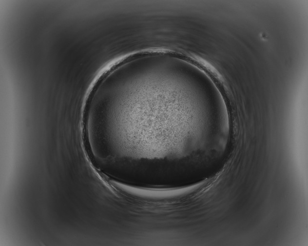 X0000085781327200703231237