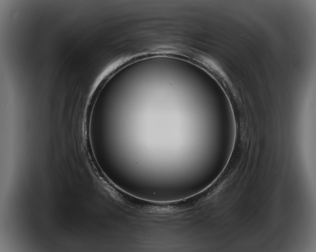 X0000085781328200703231237