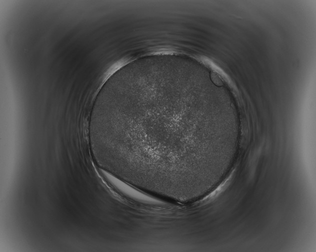 X0000085781329200703231237