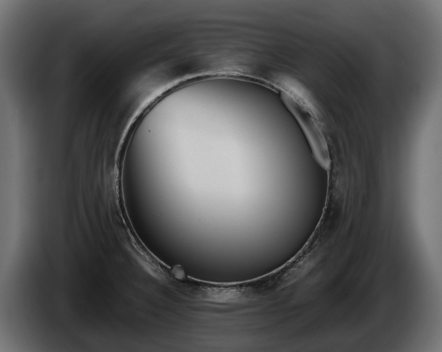 X0000085781332200703231237