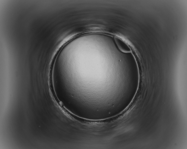 X0000085781333200703231237