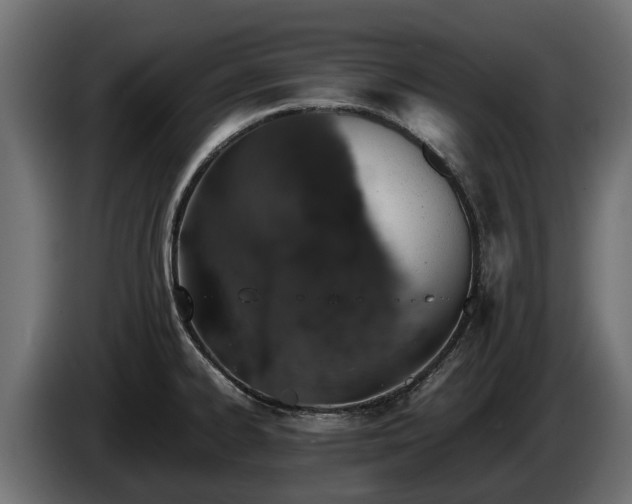 X0000085781334200703231237