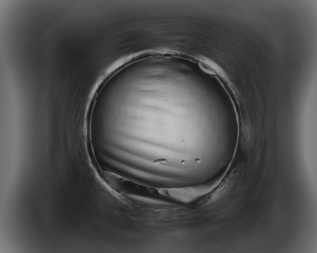 X0000085781335200703231237