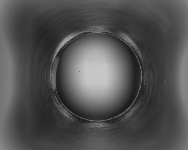 X0000085781336200703231237