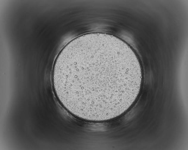 X0000085781338200703231237