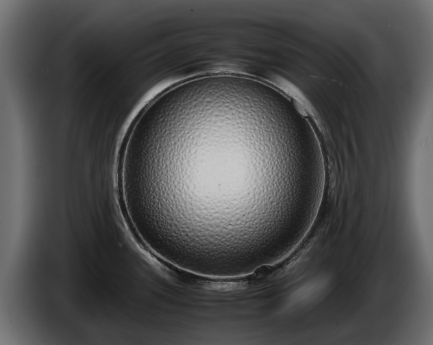 X0000085781339200703231237