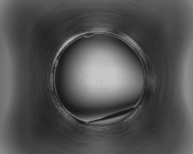 X0000085781340200703231237