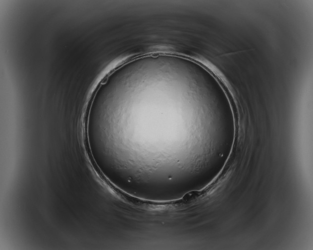 X0000085781341200703231237