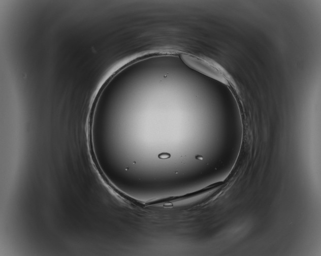 X0000085781343200703231237