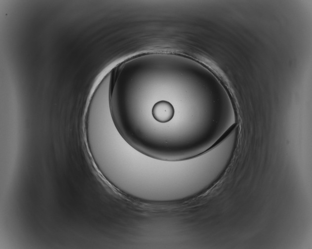 X0000085781344200703231237