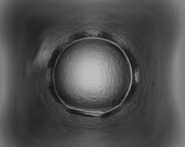 X0000085781347200703231236