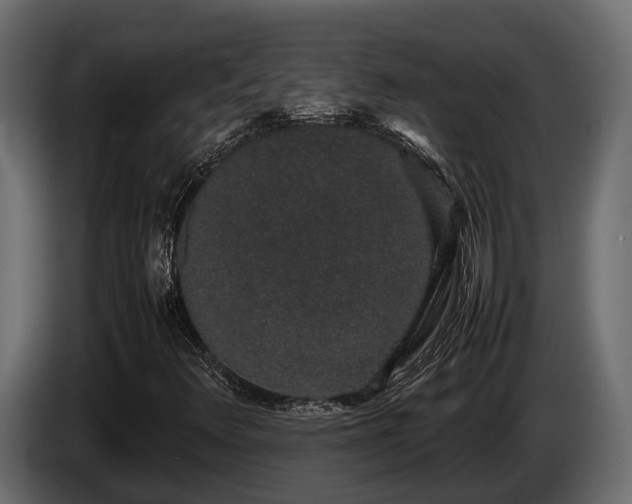 X0000085781348200703231236