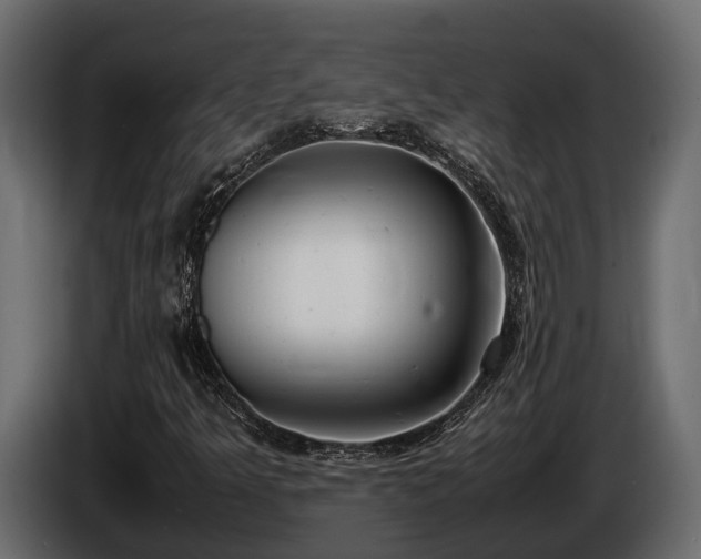 X0000085781349200703231236