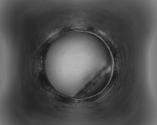 X0000085781350200703231236