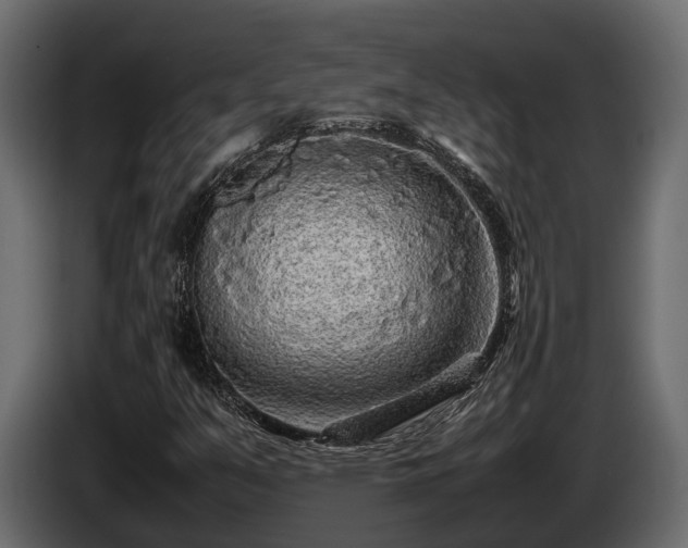 X0000085781351200703231236