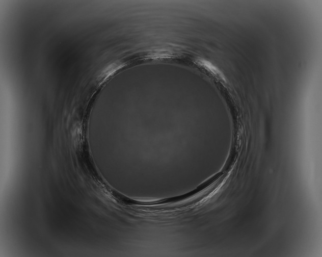 X0000085781353200703231236