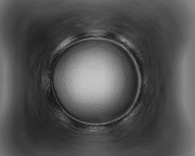 X0000085781354200703231236