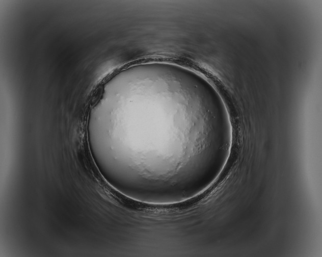 X0000085781355200703231236