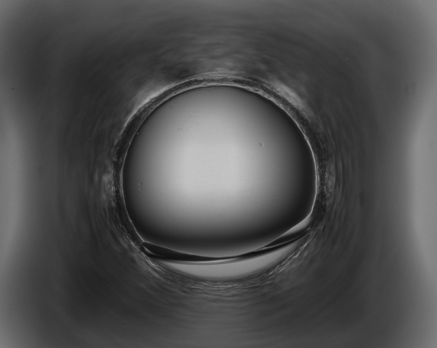 X0000085781356200703231236