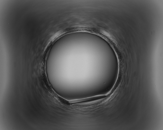 X0000085781357200703231236