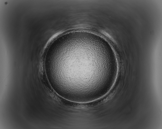 X0000085781358200703231236