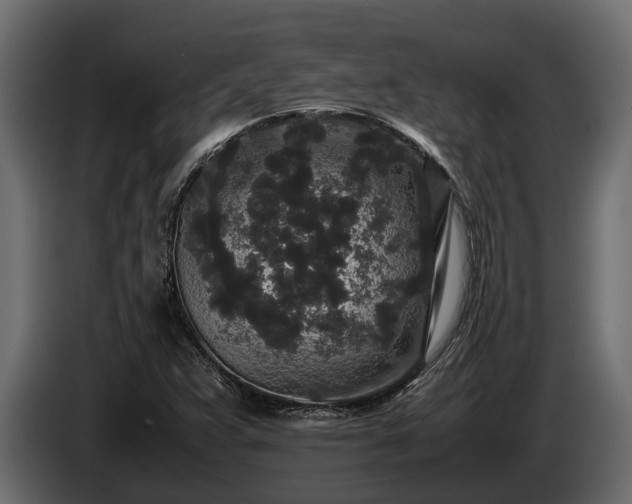 X0000085781359200703231236