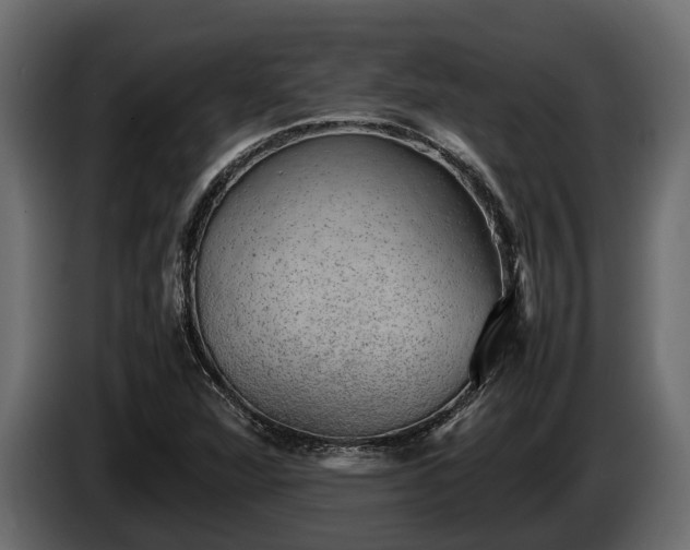 X0000085781360200703231236