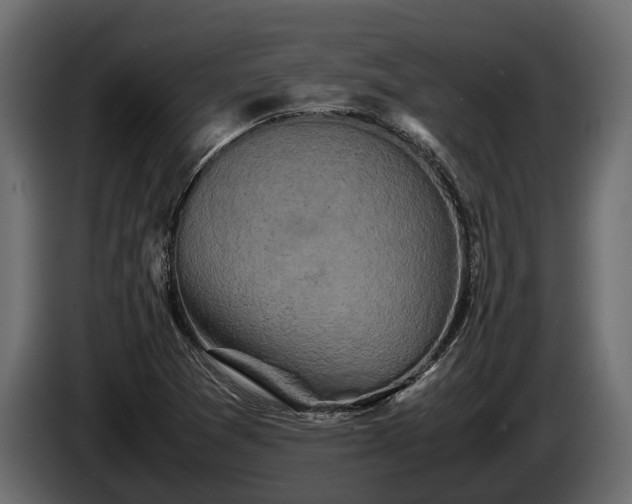 X0000085781361200703231236