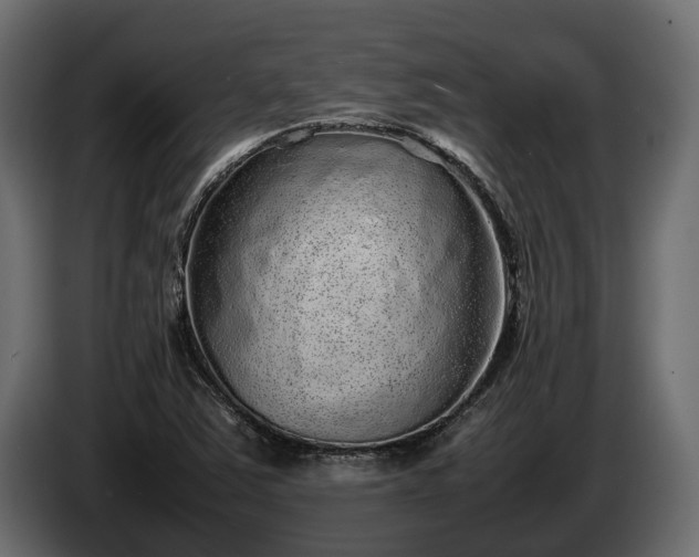 X0000085781363200703231236